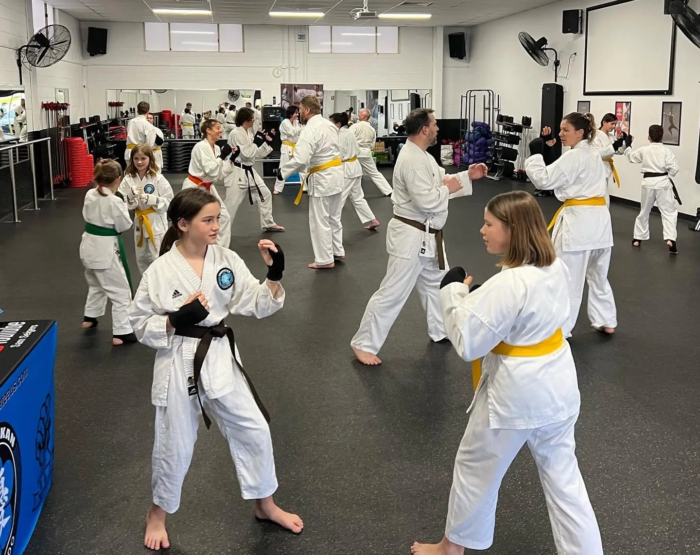 Sensei Sam Seigers teaching a class